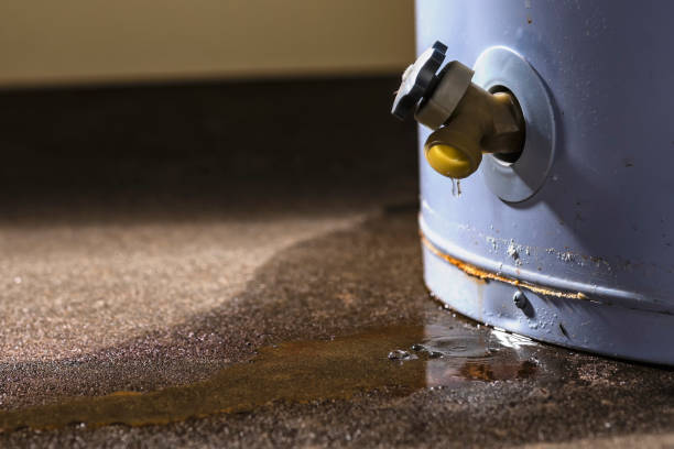 Best Ceiling water damage repair  in Davis, CA