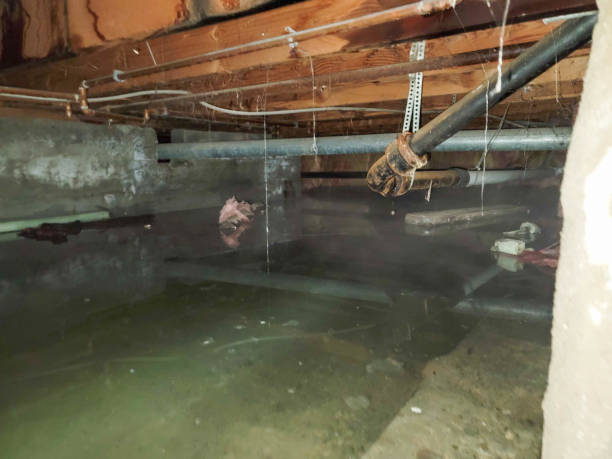 Best Water damage contractors near me  in Davis, CA