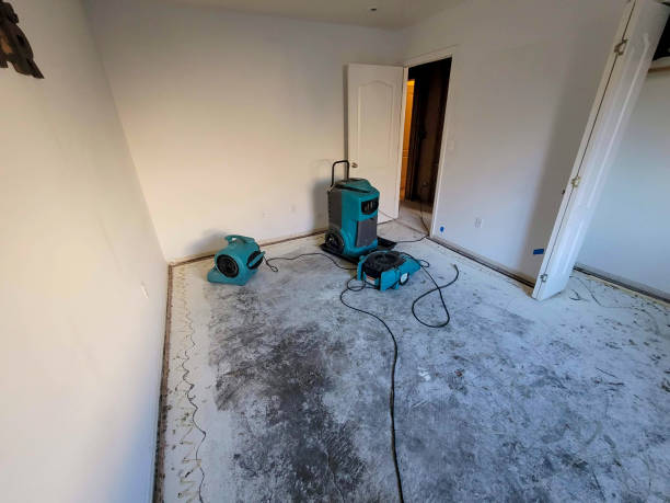 Best Water damage contractors near me  in Davis, CA