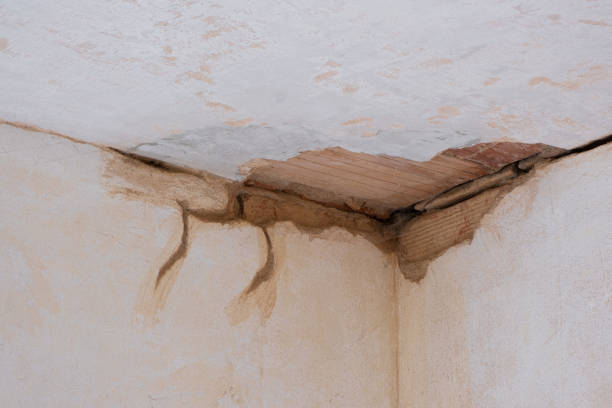 Best Residential water damage restoration  in Davis, CA