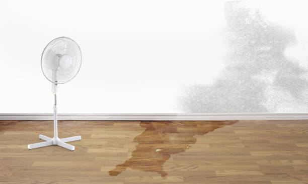 Best Water damage restoration near me  in Davis, CA
