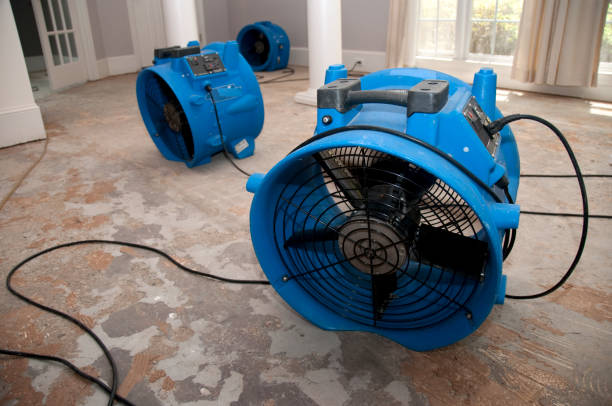Best Water damage cleanup near me  in Davis, CA