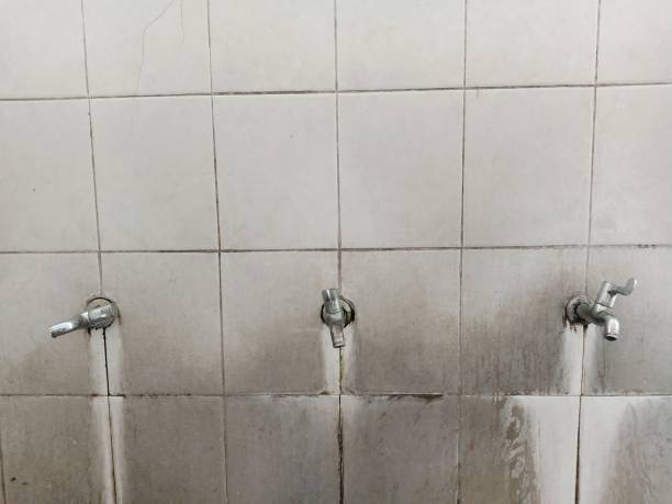 Best 24/7 water damage repair  in Davis, CA