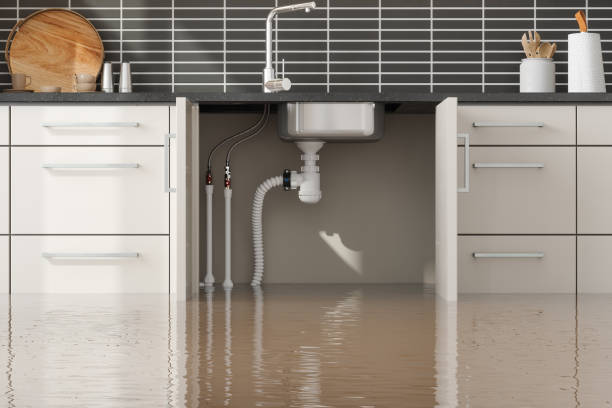 Best 24-hour water damage restoration  in Davis, CA
