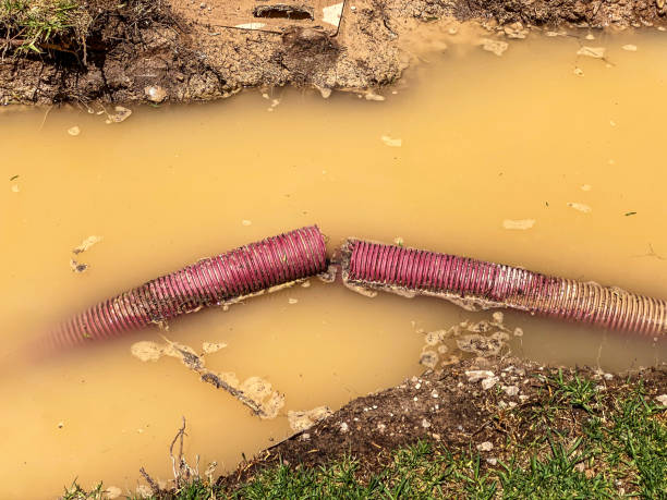 Best Flood damage cleanup  in Davis, CA