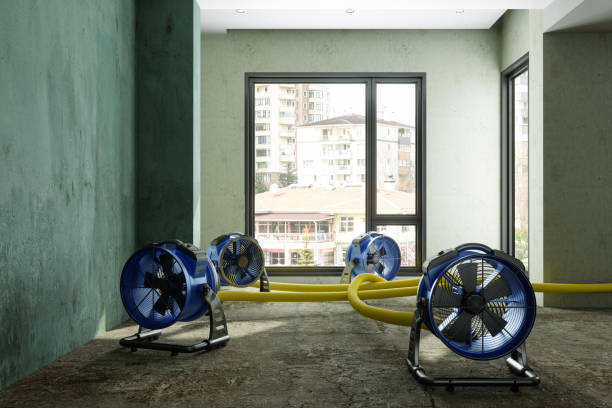 Best Emergency water damage restoration  in Davis, CA